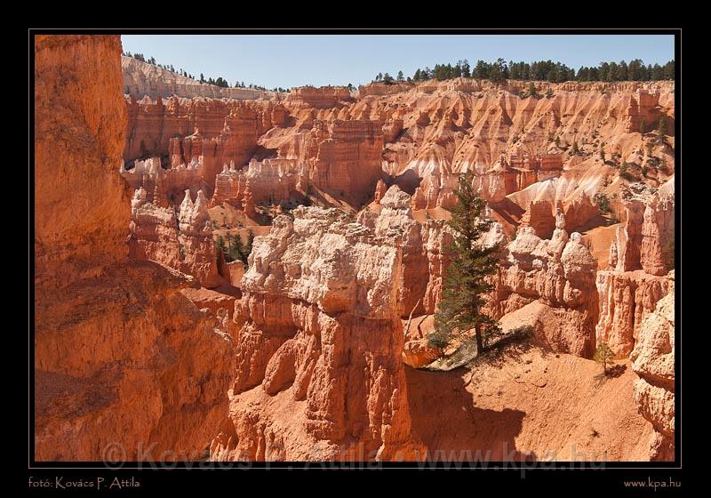 Bryce Canyon 10.jpg